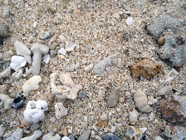 カイジ浜（星砂浜）の砂