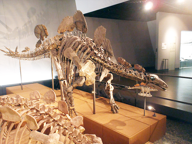 ヘスペロサウルス