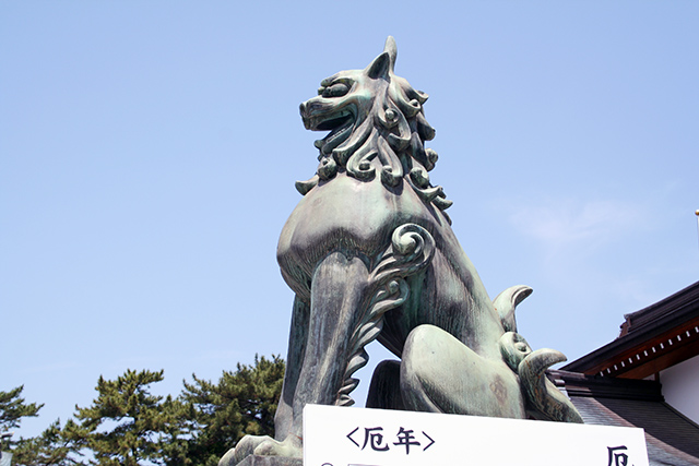 護国神社　入口　狛犬(右）