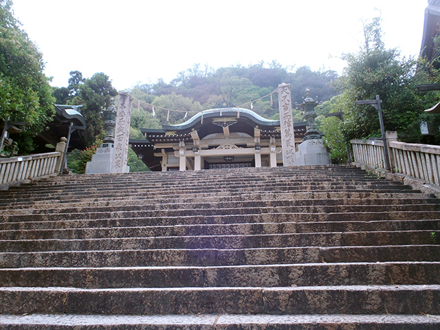 沼名前神社　石段と本殿