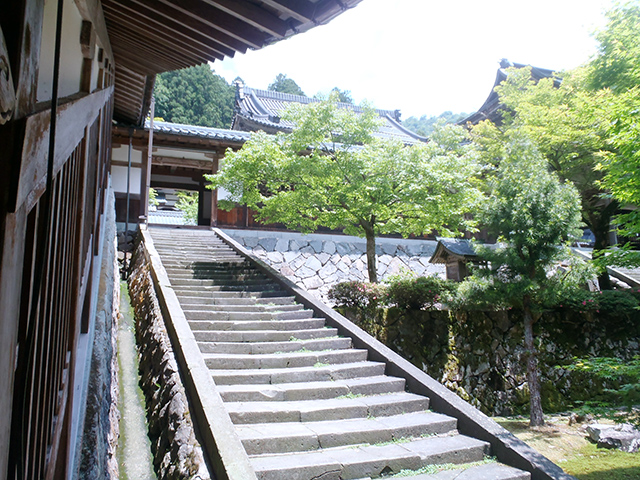 永平寺　仏殿　右側の石段